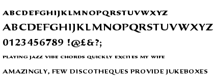 Sava&trade; Pro Bold