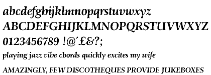 Schneider-Antiqua Medium Italic