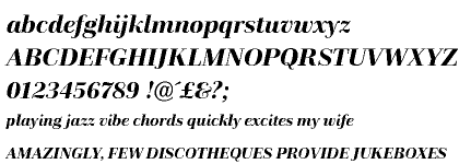 Schneider Libretto Medium Italic