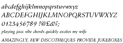 Schneidler Amalthea Medium Italic