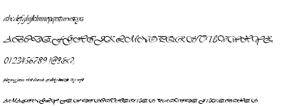 Vivaldi Standard (D)