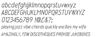 Wyvern Light Italic