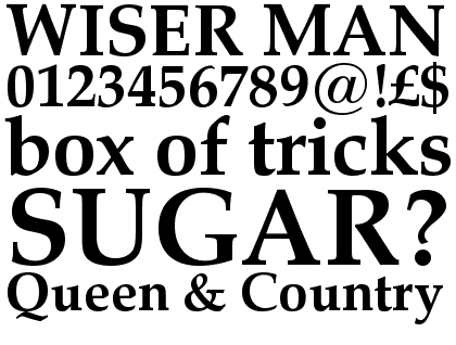 Zapf Calligraphic 801 Bold